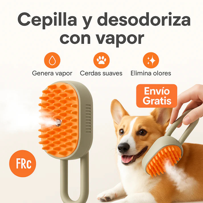 Cepillo Vapor MultiUso